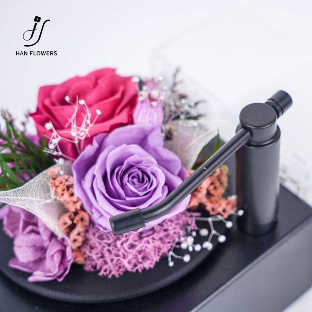 Garden Gramophone Music Box