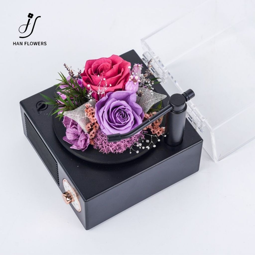 Garden Gramophone Music Box