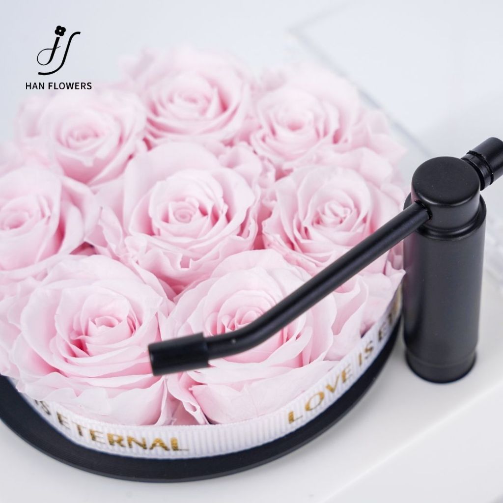 Mini Preserved Roses Gramophone Music Box