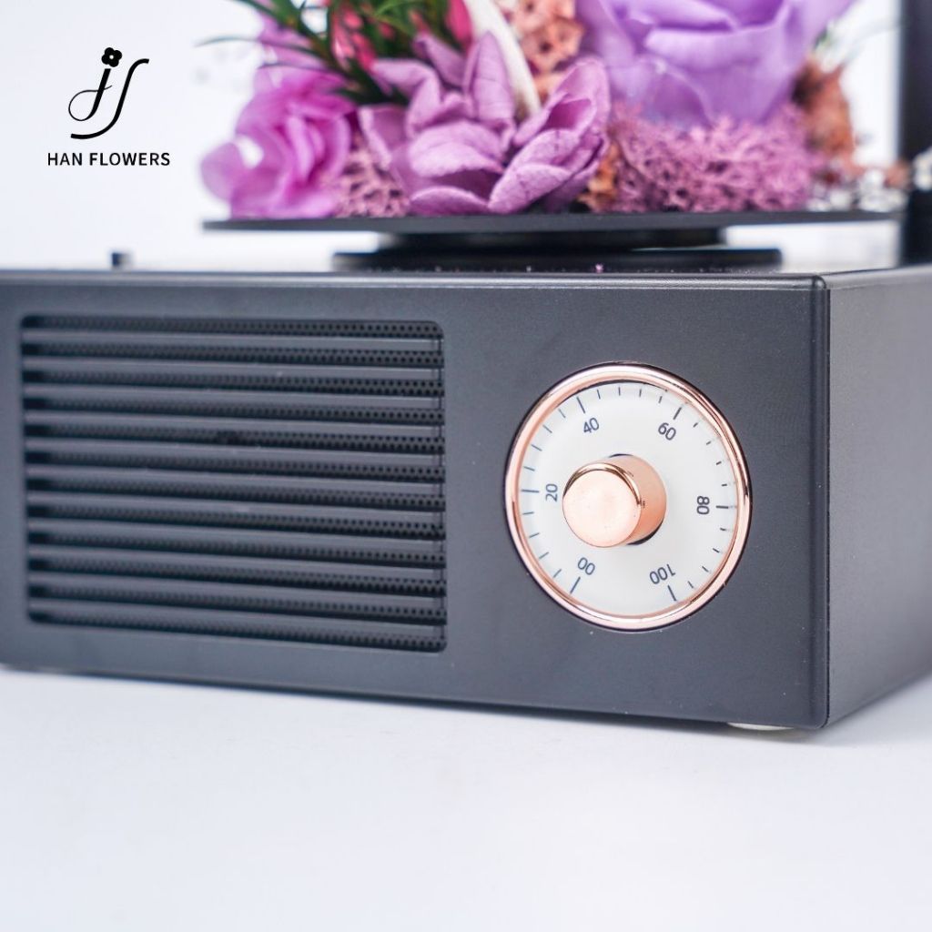 Garden Gramophone Music Box