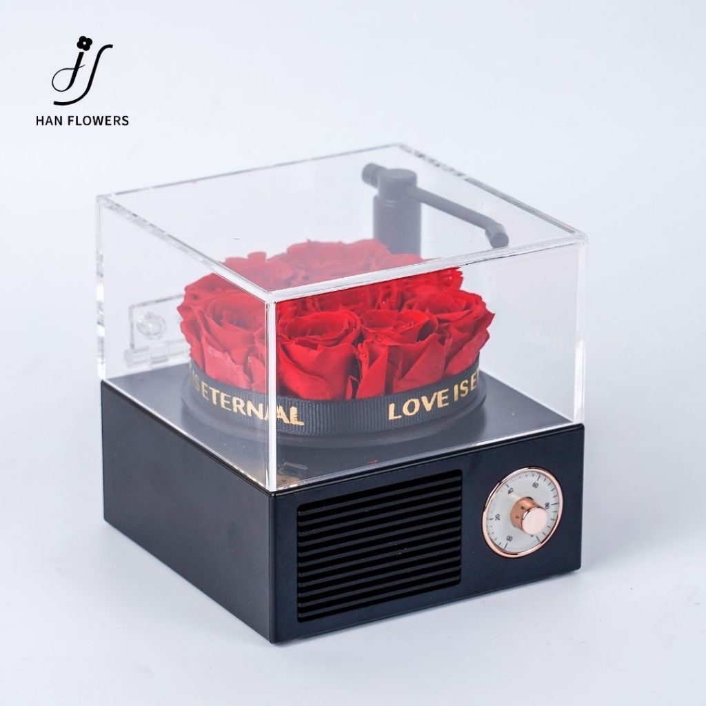 Mini Preserved Roses Gramophone Music Box