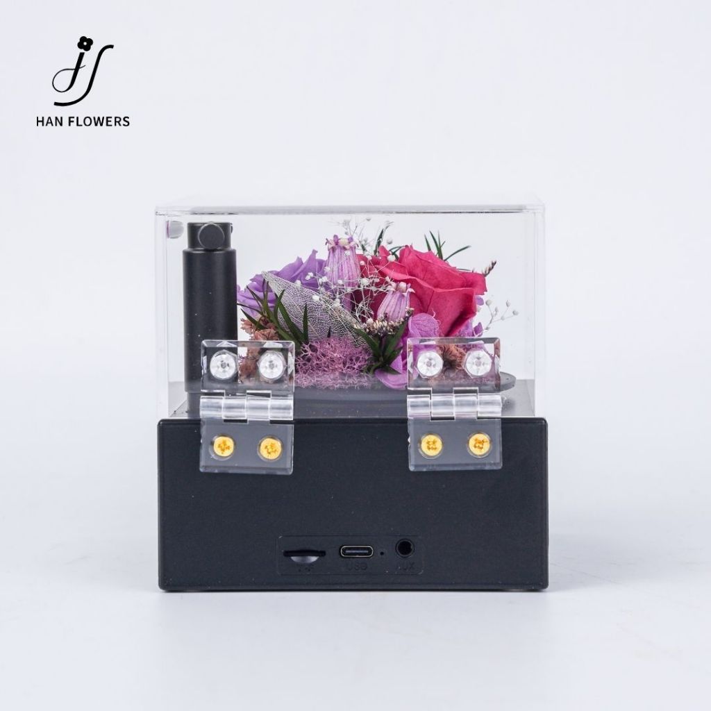 Garden Gramophone Music Box