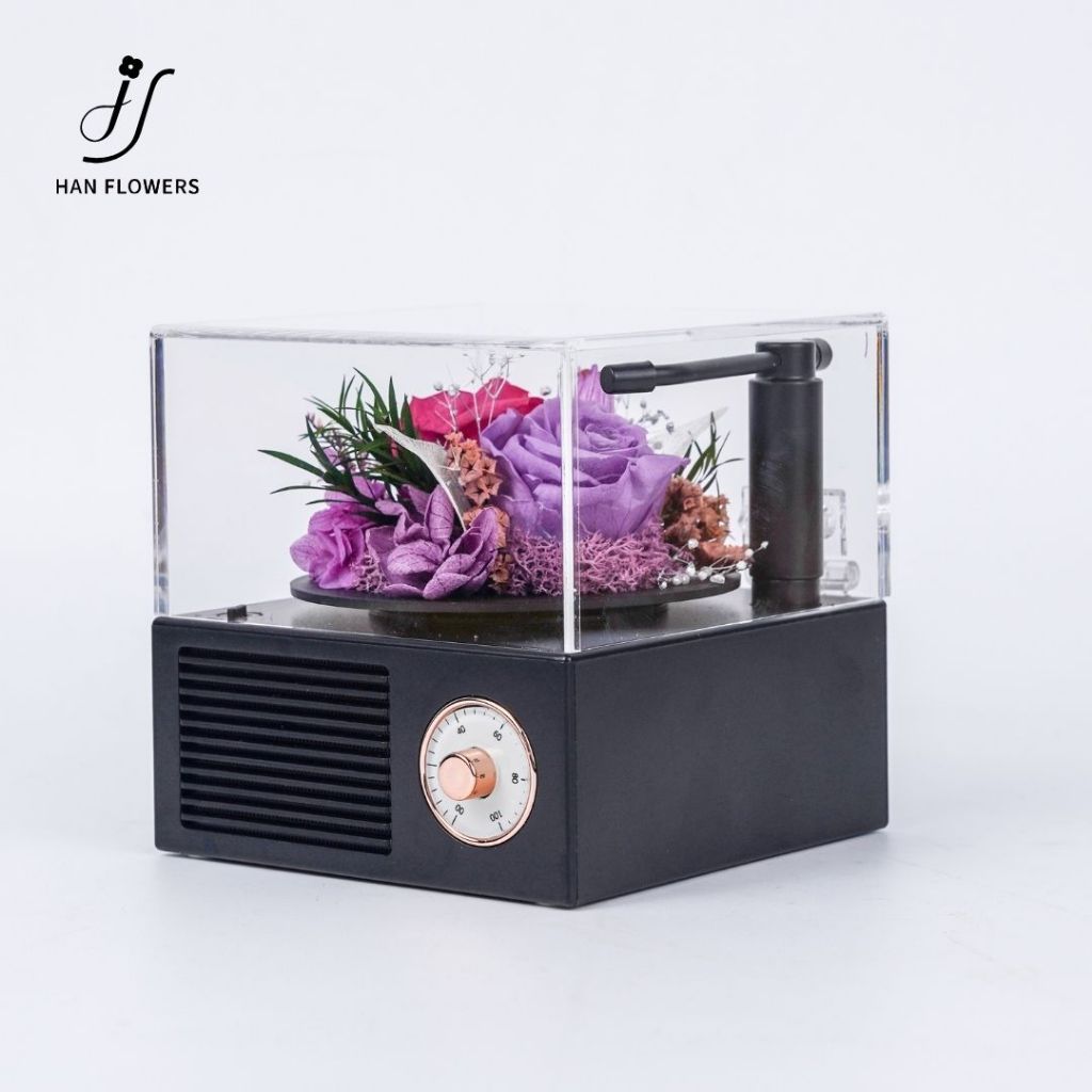 Garden Gramophone Music Box