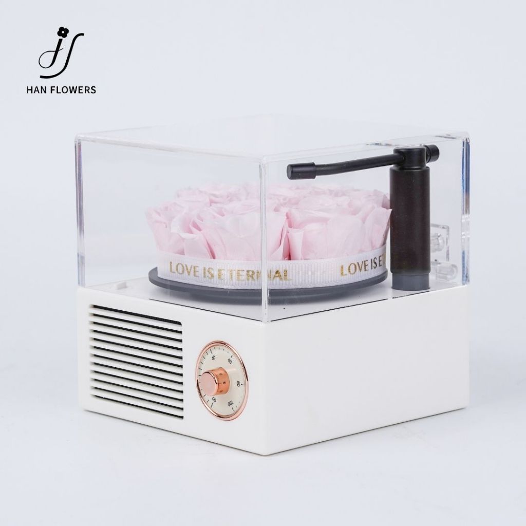 Mini Preserved Roses Gramophone Music Box