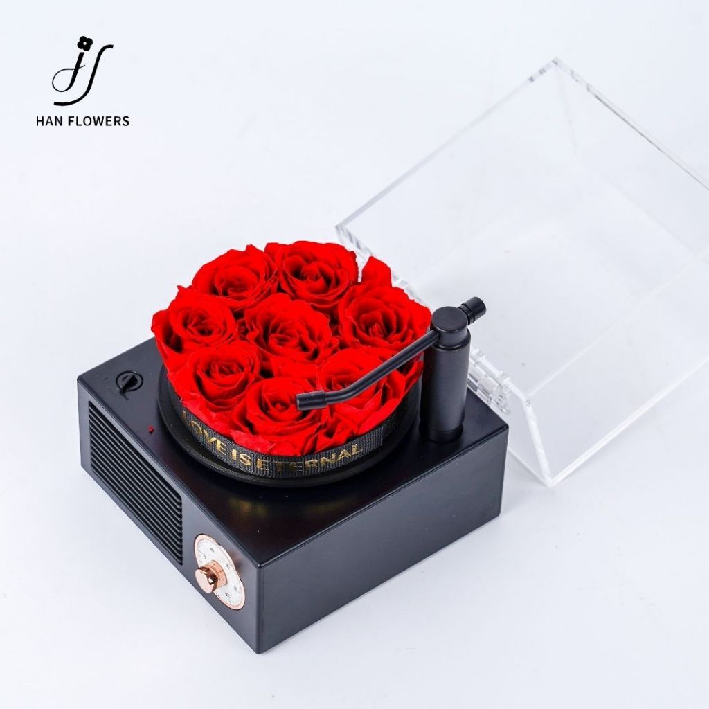 Mini Preserved Roses Gramophone Music Box