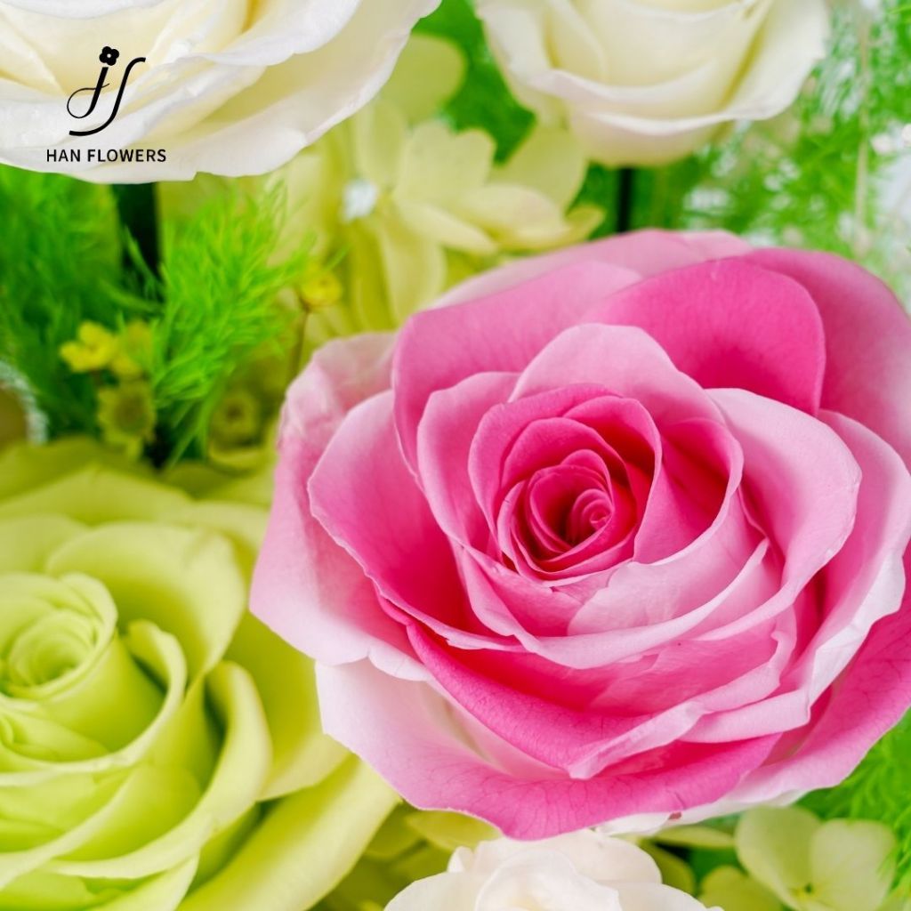 Blooming Garden in Box