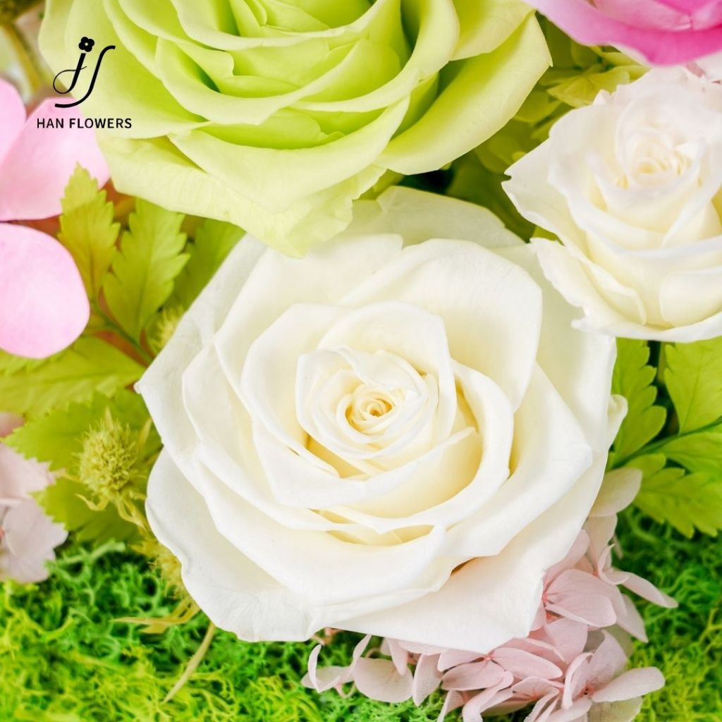 Blooming Garden in Box