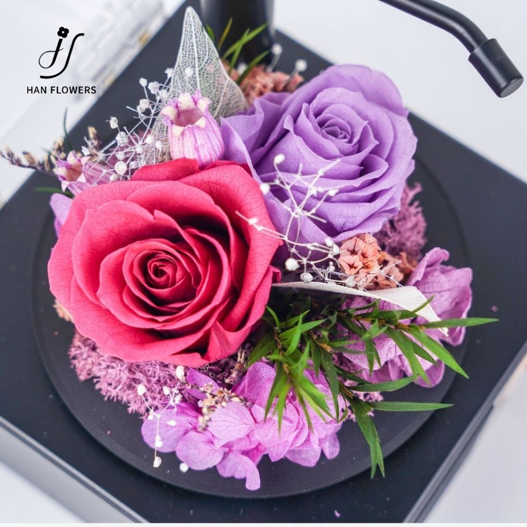 Garden Gramophone Music Box
