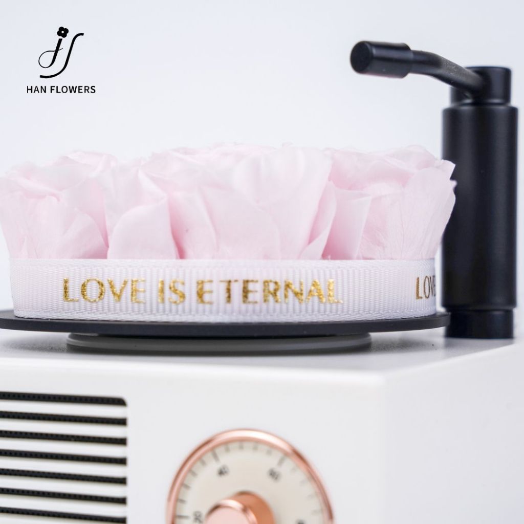 Mini Preserved Roses Gramophone Music Box