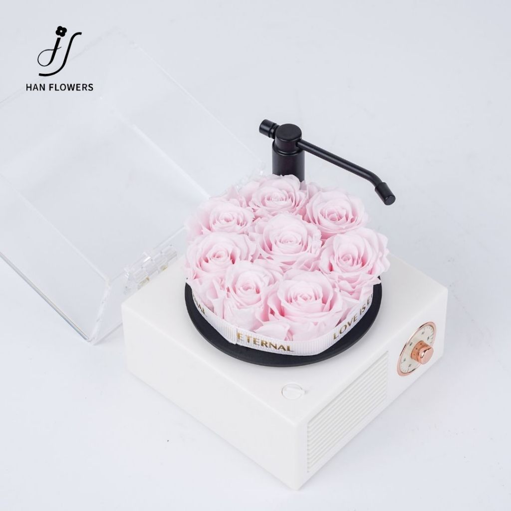 Mini Preserved Roses Gramophone Music Box