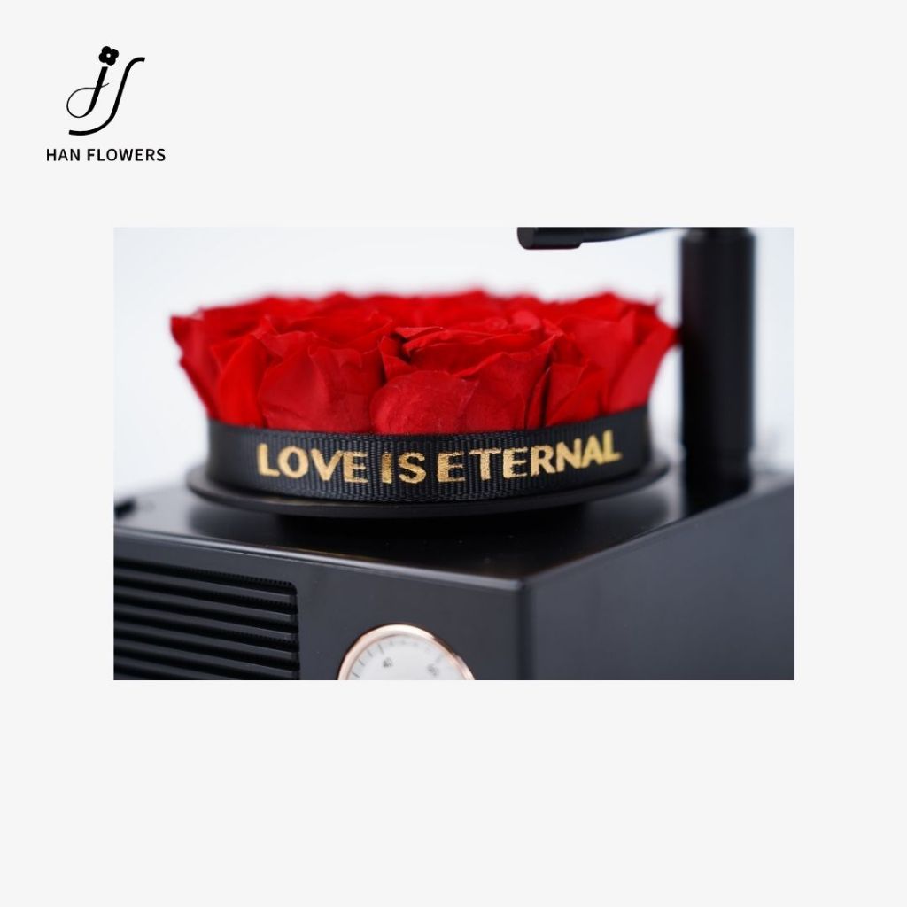 Mini Preserved Roses Gramophone Music Box