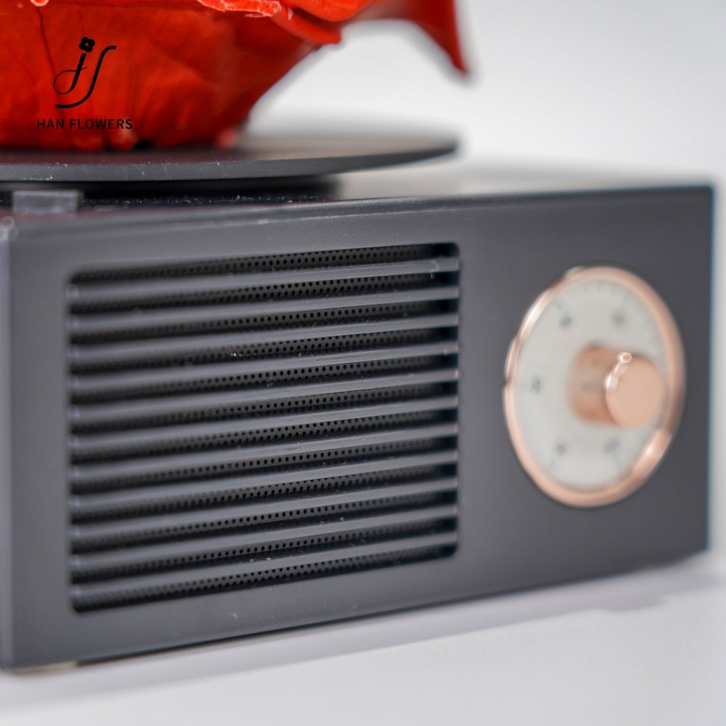Gramophone Music Box with Preserved Rose