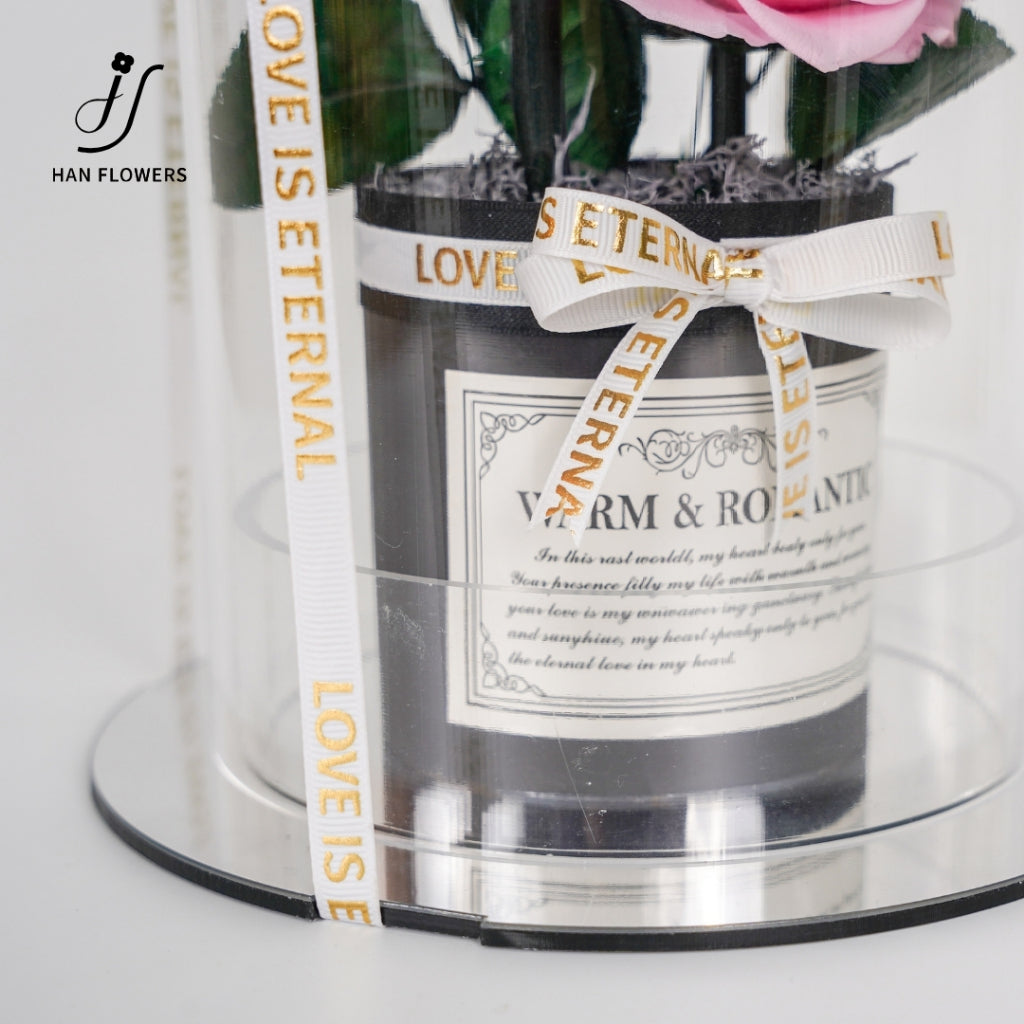 Grand Prince Preserved Roses