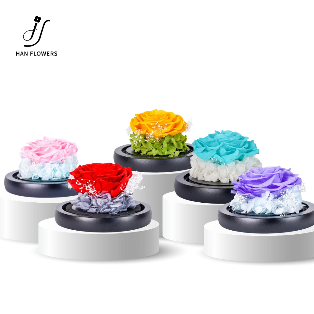 Single Preserved Rose in Glass Dome