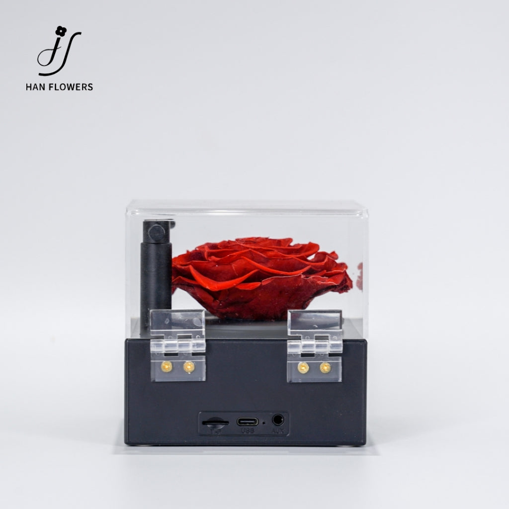 Gramophone Music Box with Preserved Rose