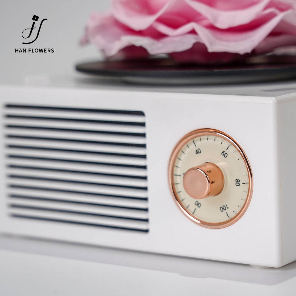 Gramophone Music Box with Preserved Rose