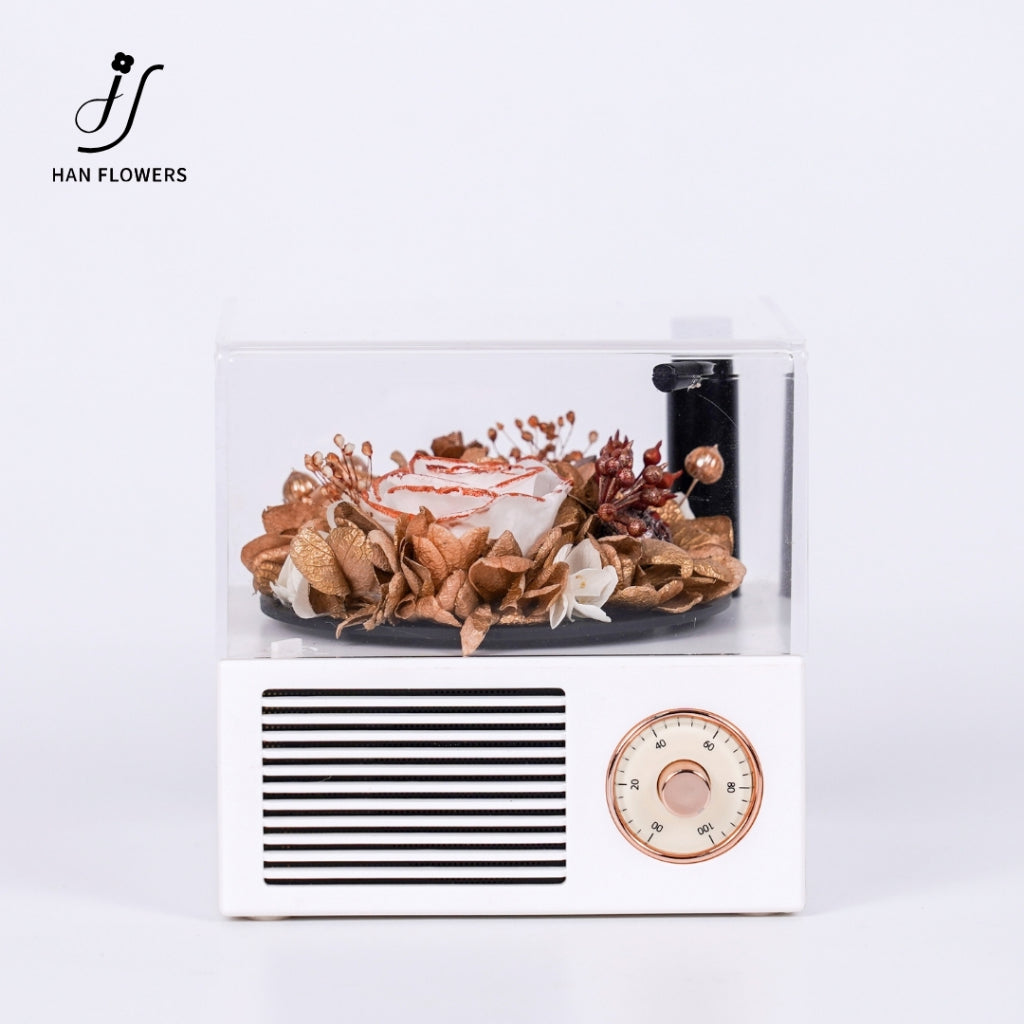 Gramophone Music Box