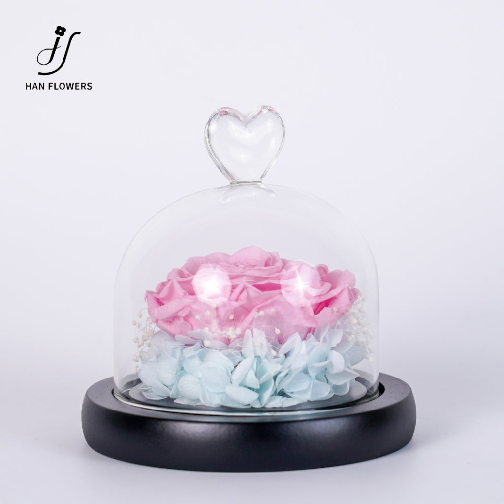Single Preserved Rose in Glass Dome