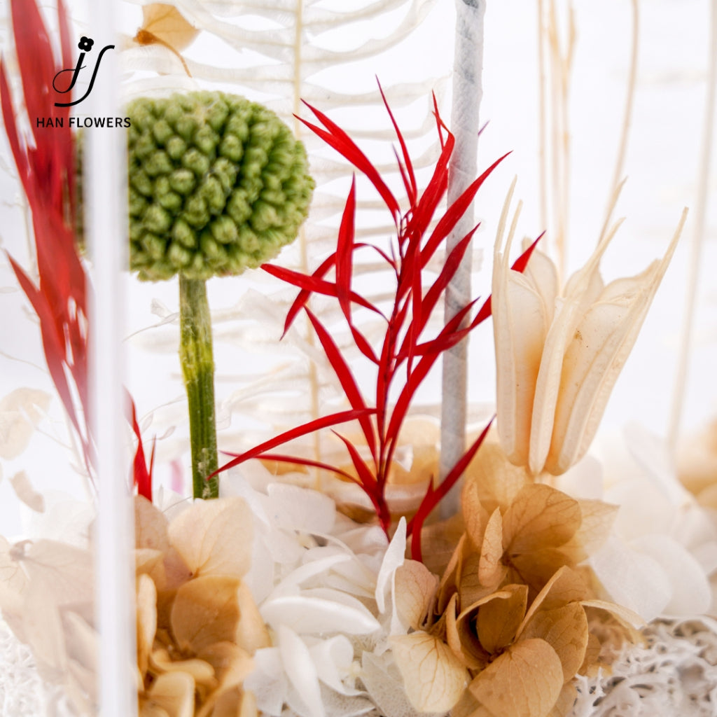 Minimalist Preserved Flower Cluster in Transparent Display Box
