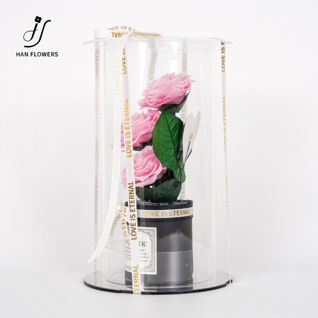 Grand Prince Preserved Roses