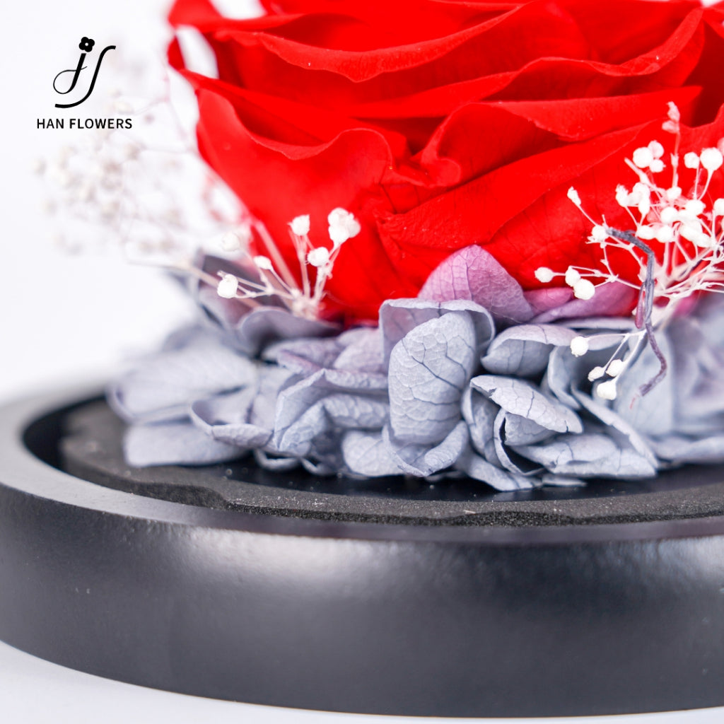 Single Preserved Rose in Glass Dome