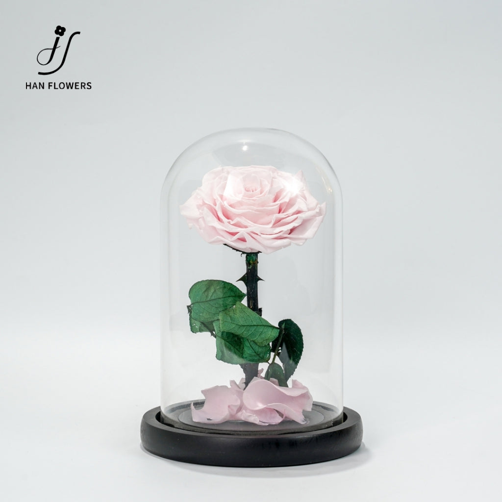Little Prince Preserved Rose
