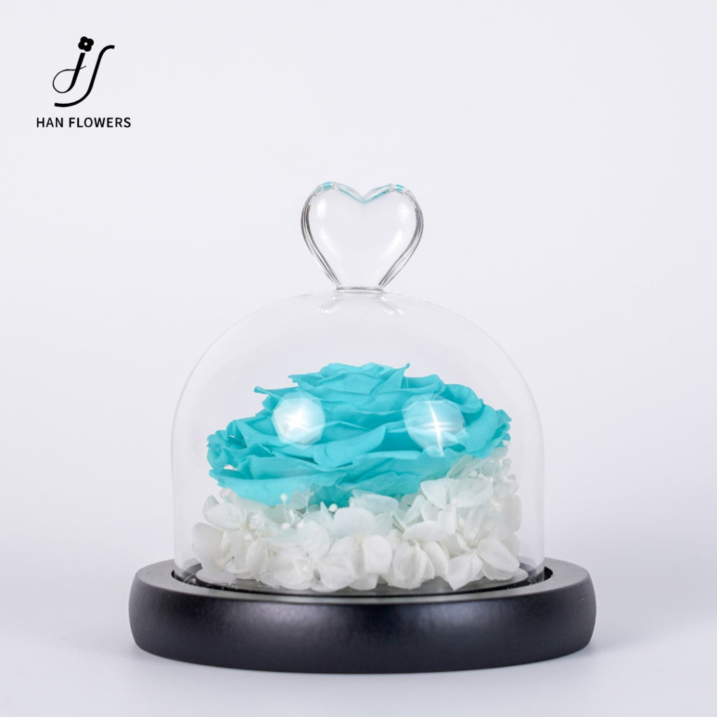 Single Preserved Rose in Glass Dome