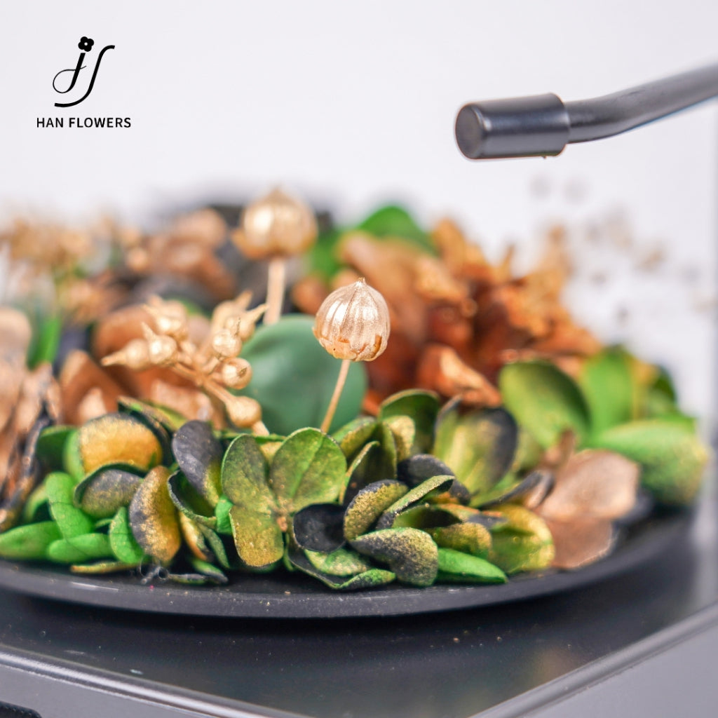 Gramophone Music Box