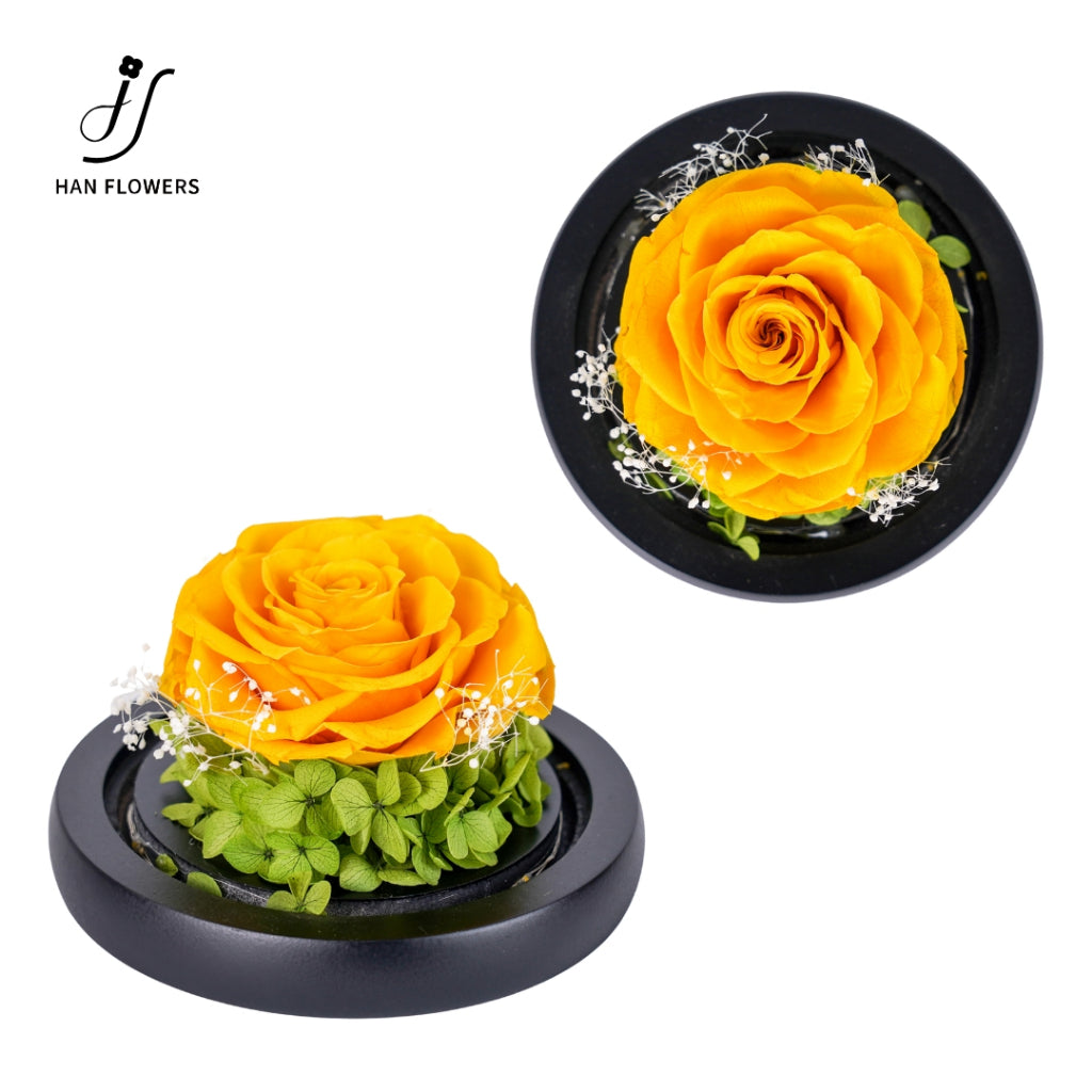 Single Preserved Rose in Glass Dome