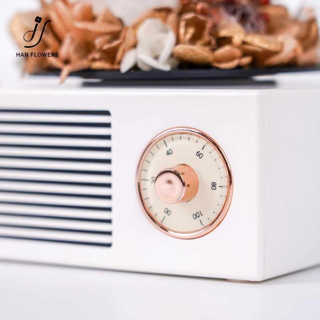 Gramophone Music Box