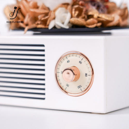 Gramophone Music Box