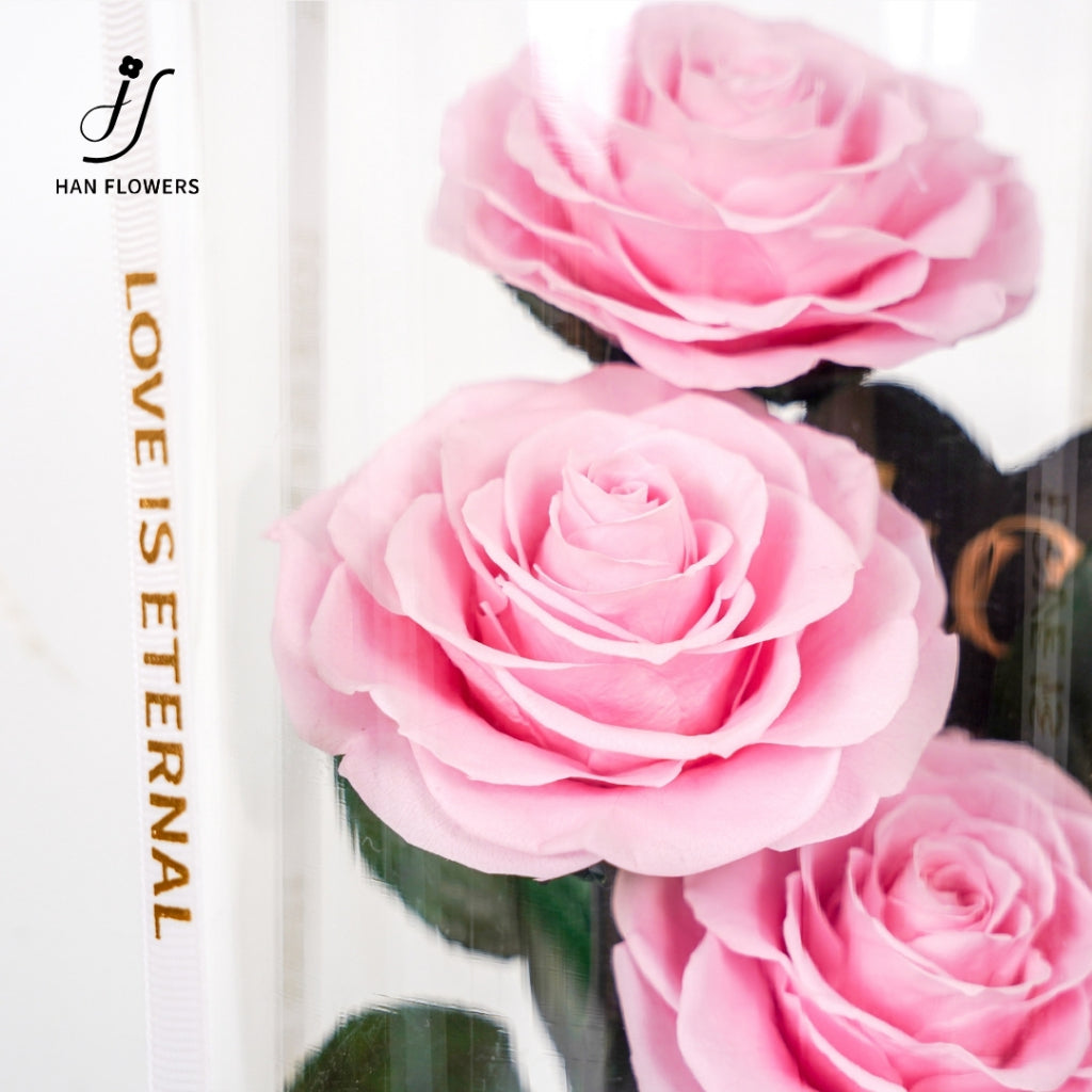 Grand Prince Preserved Roses