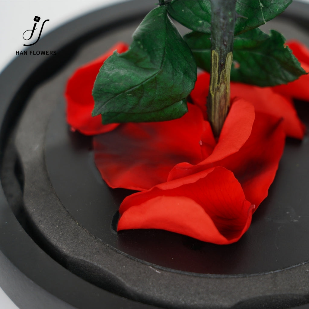 Little Prince Preserved Rose