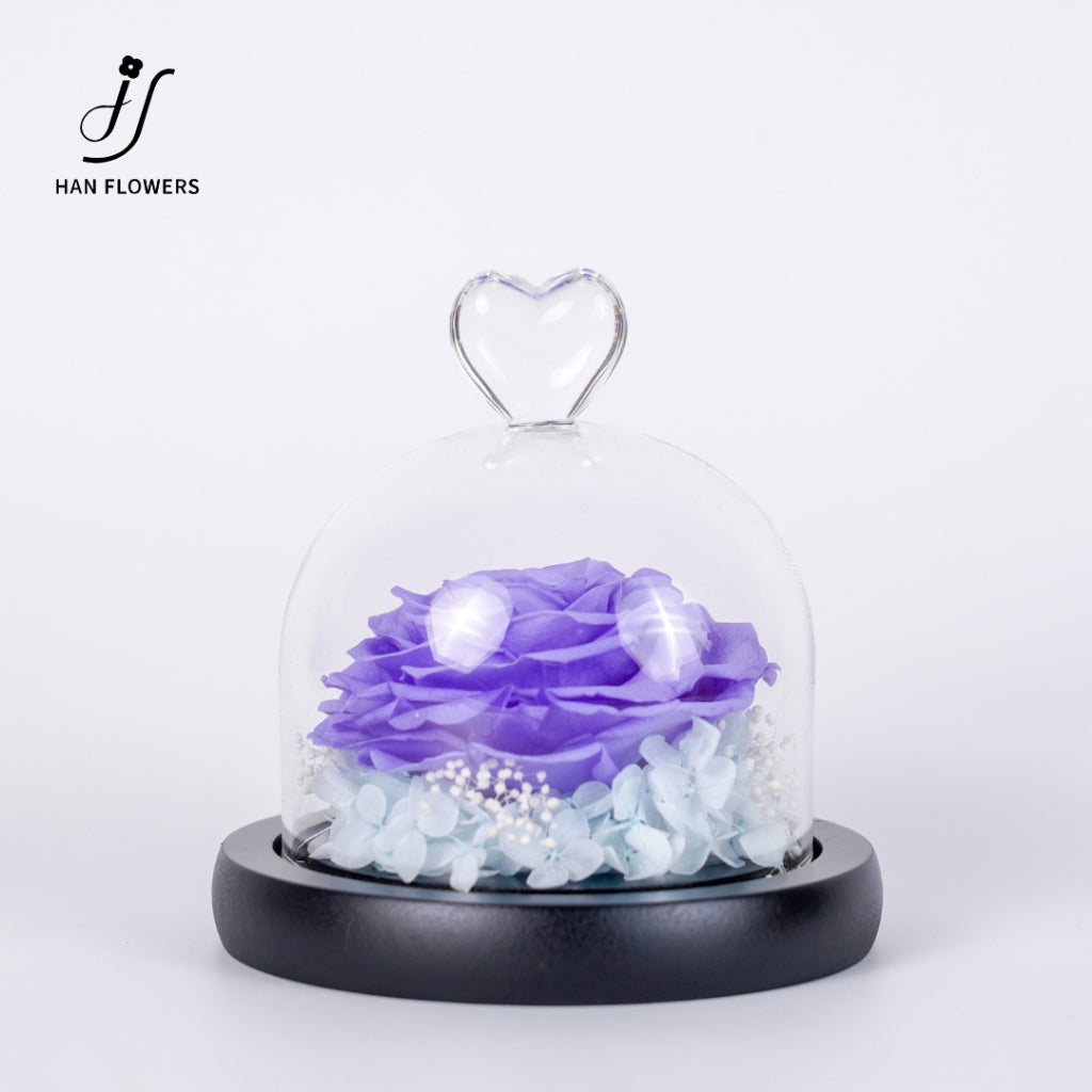 Single Preserved Rose in Glass Dome