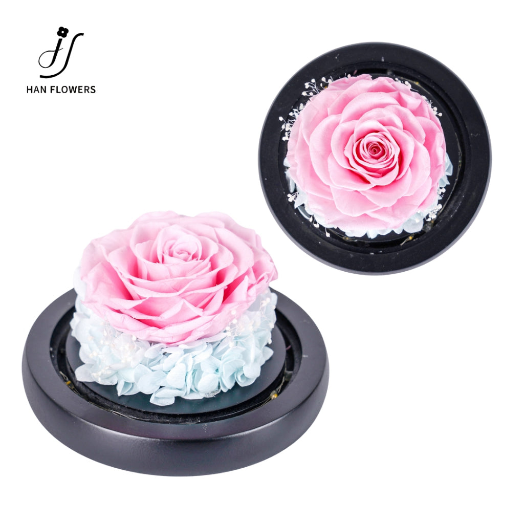 Single Preserved Rose in Glass Dome