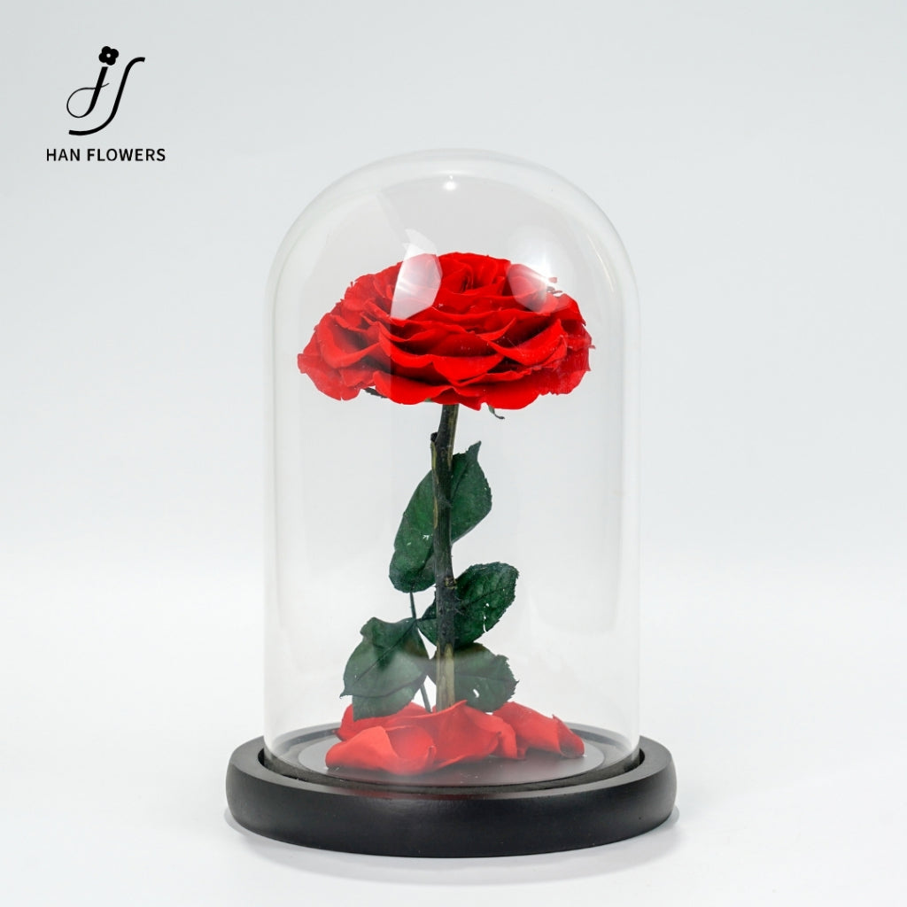 Little Prince Preserved Rose