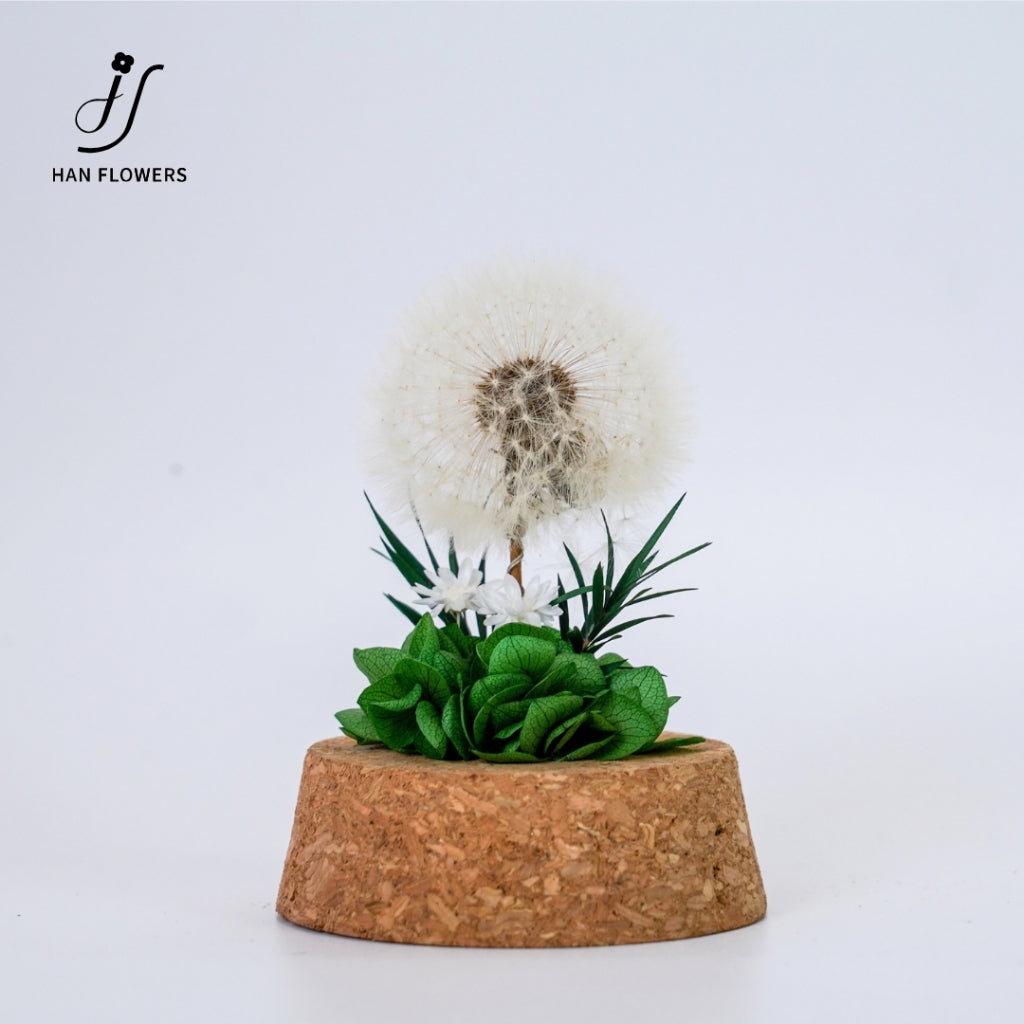 Dandelion Preserved Flower in Glass Dome