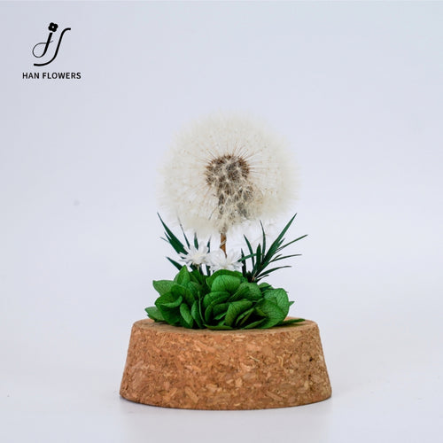 Dandelion Preserved Flower in Glass Dome