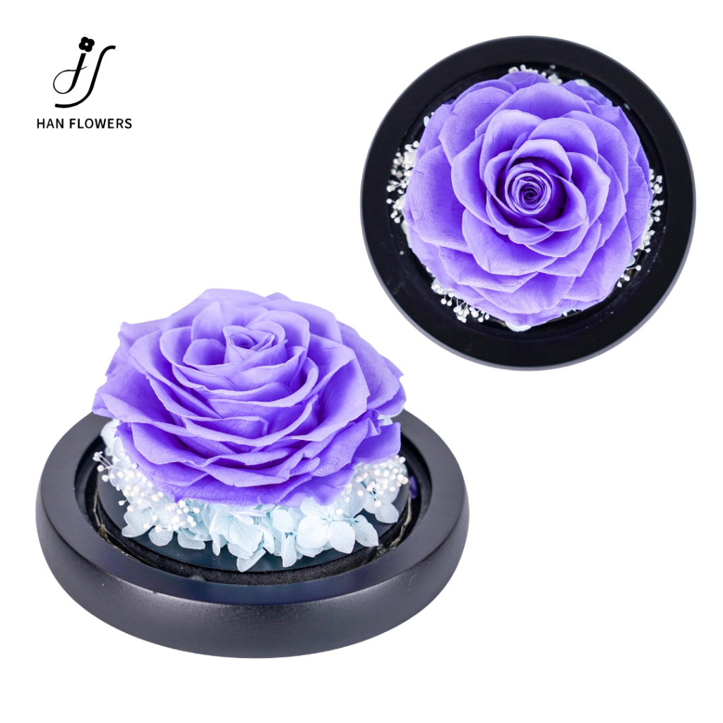 Single Preserved Rose in Glass Dome
