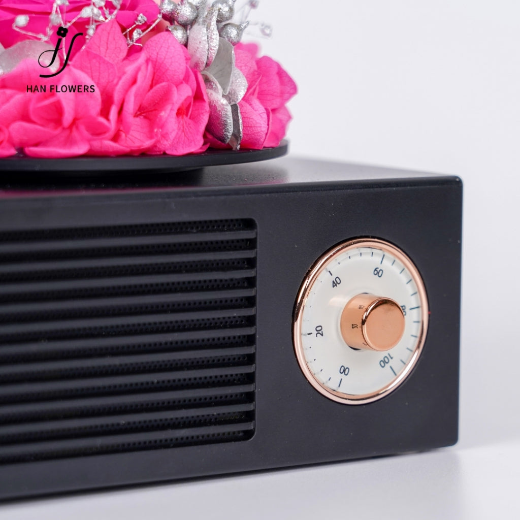 Gramophone Music Box