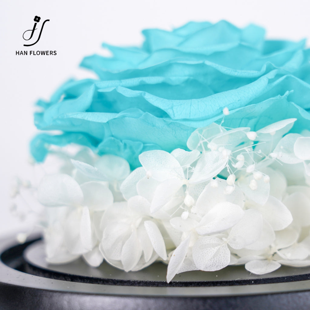 Single Preserved Rose in Glass Dome