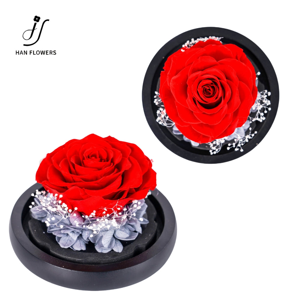 Single Preserved Rose in Glass Dome