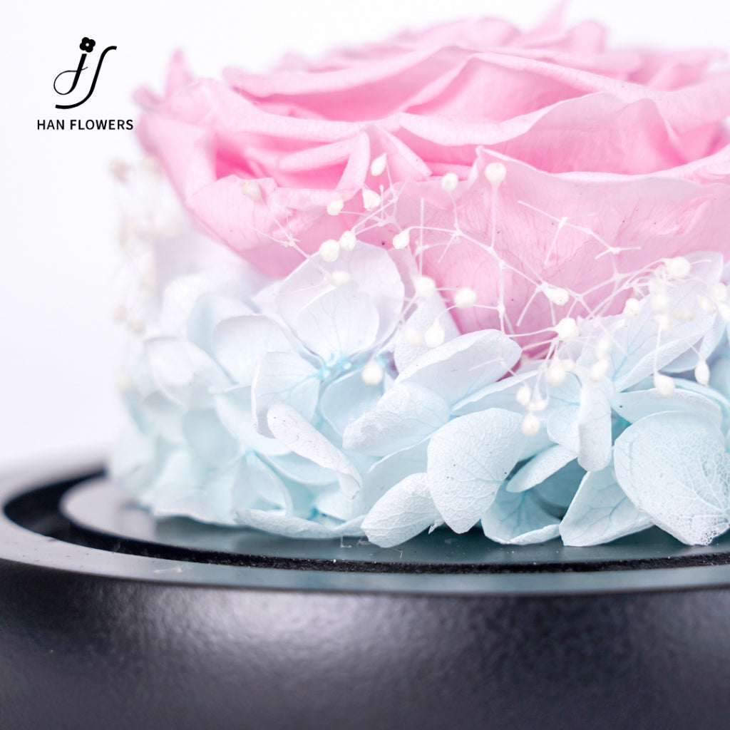 Single Preserved Rose in Glass Dome