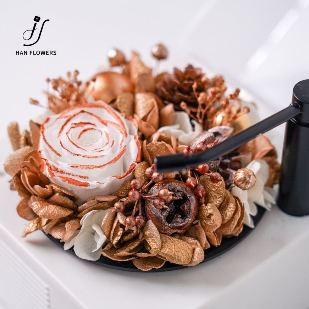 Gramophone Music Box