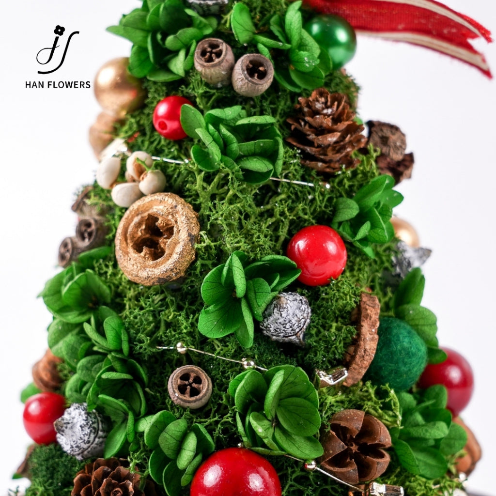 Classic Preserved Christmas Tree