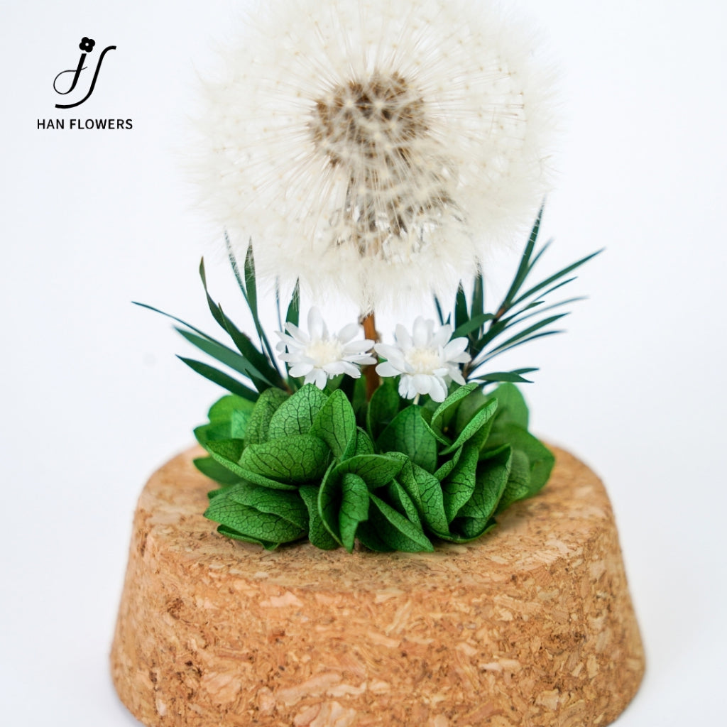 Dandelion Preserved Flower in Glass Dome