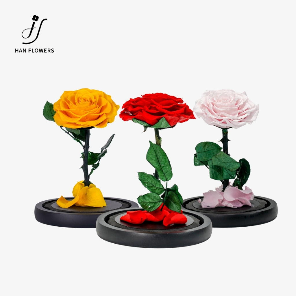 Little Prince Preserved Rose