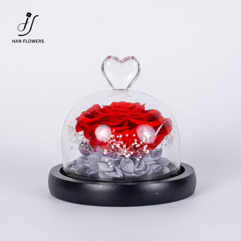 Single Preserved Rose in Glass Dome
