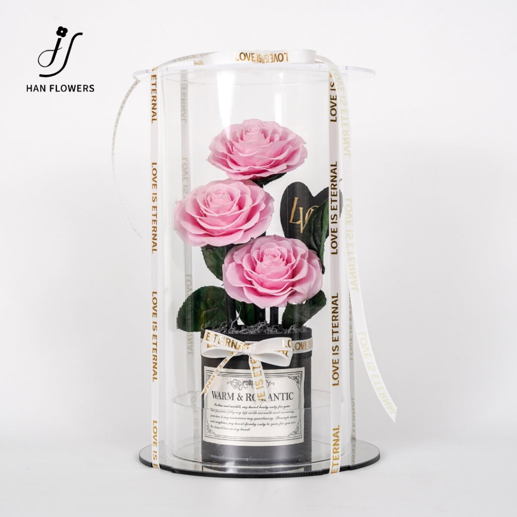 Grand Prince Preserved Roses