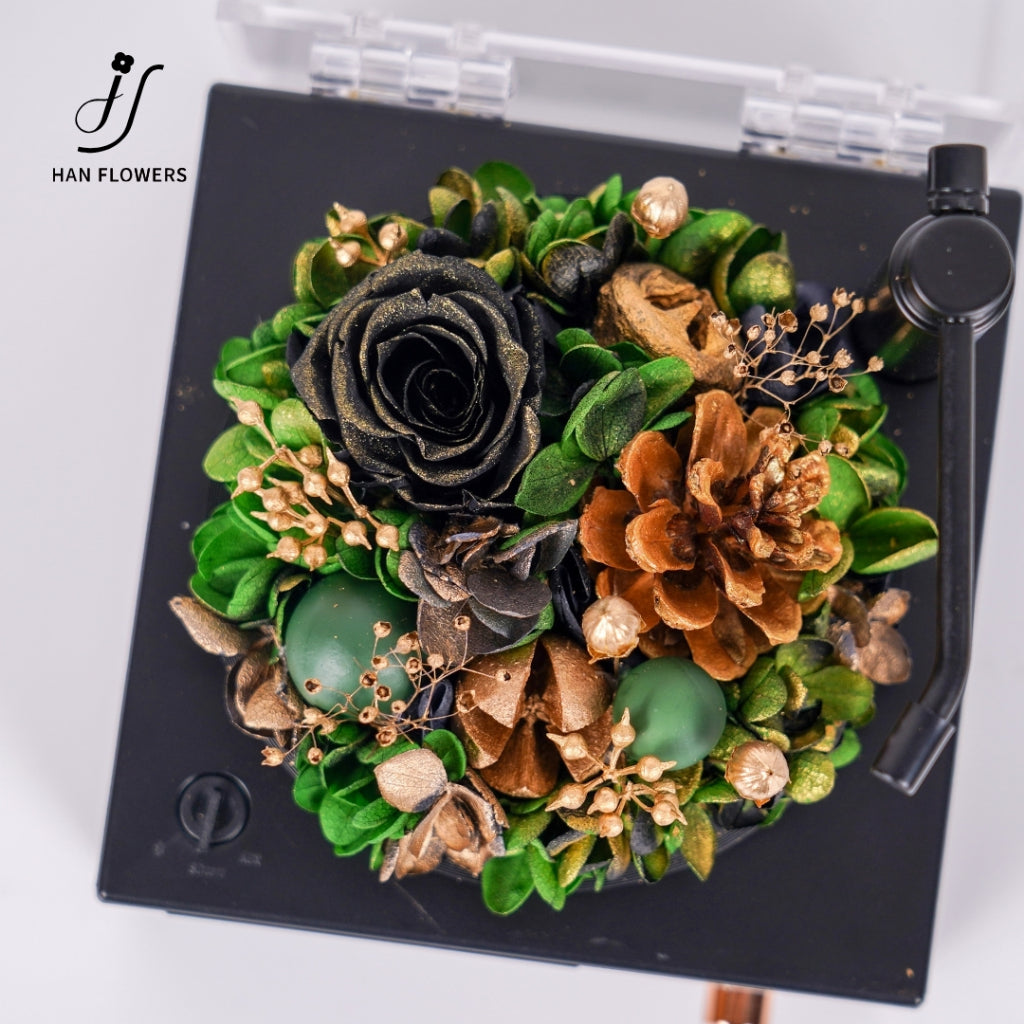 Gramophone Music Box